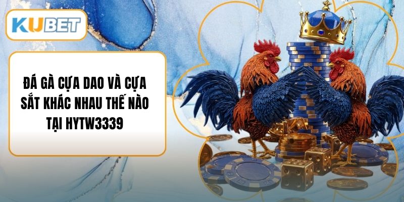 Đá Gà Cựa Dao Và Cựa Sắt Khác Nhau Thế Nào Tại HYTW3339